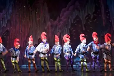 junior ballet image 5
